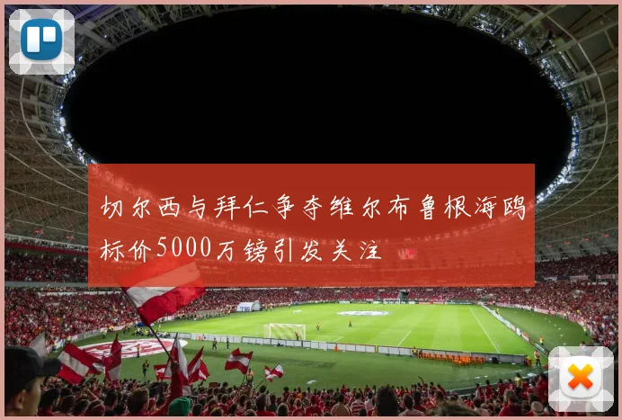 切尔西与拜仁争夺维尔布鲁根海鸥标价5000万镑引发关注